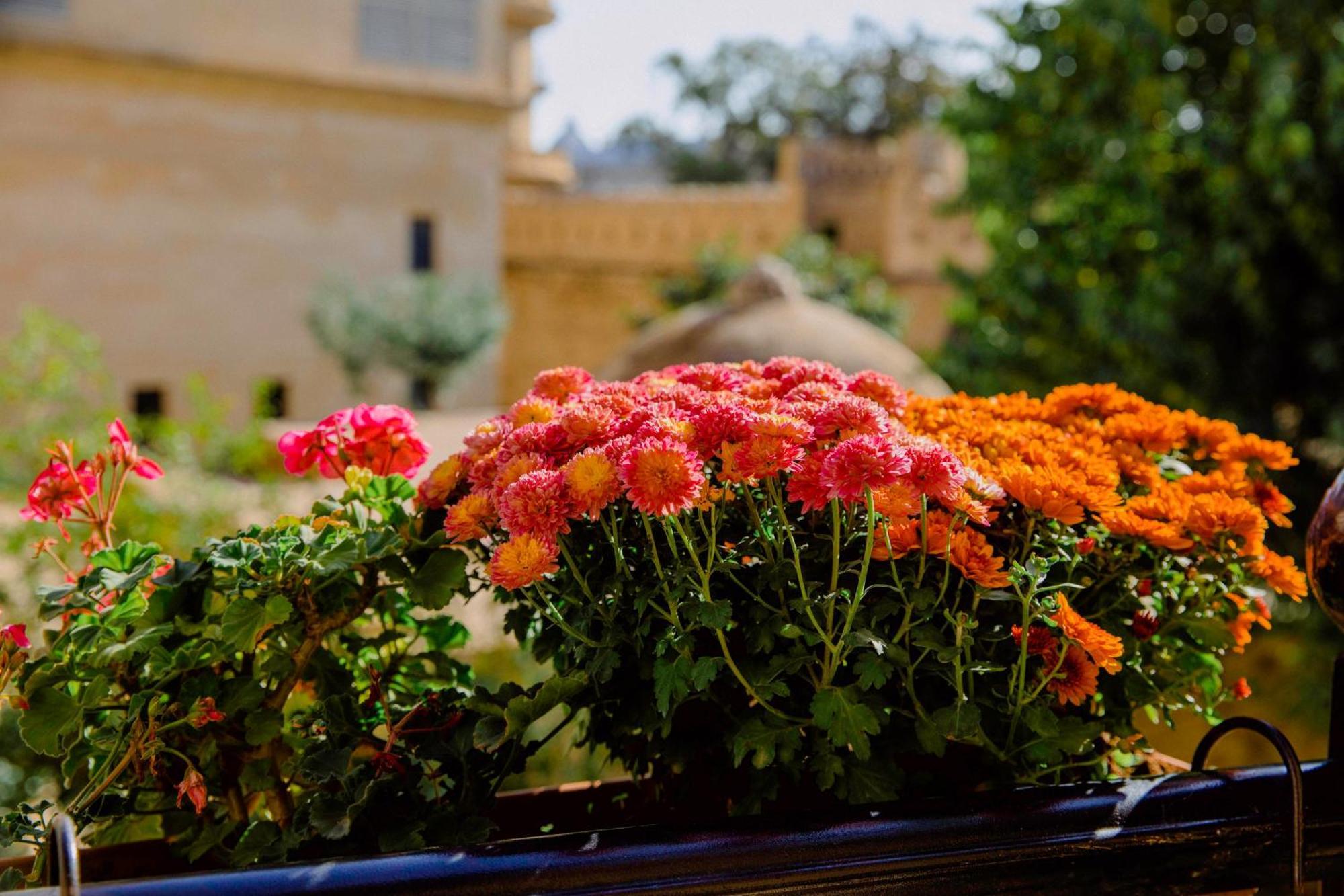 באקו Royal Antique Boutique Hotel מראה חיצוני תמונה